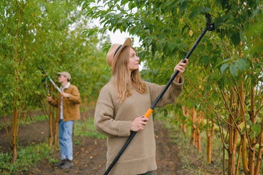 pruning tools