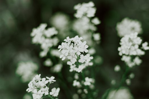 beautiful small garden with vertical plants