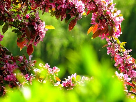 beautiful garden with vibrant flowers