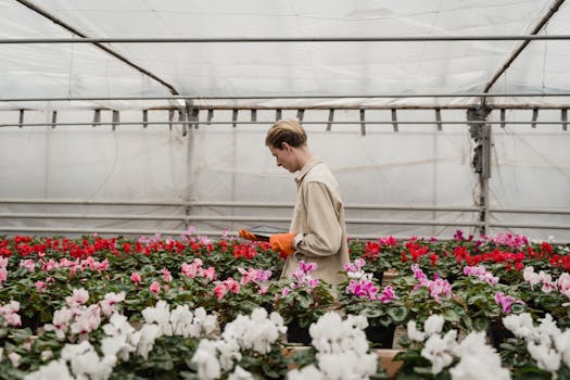 gardener inspecting plants