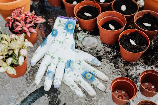 image of a gardener planting seeds