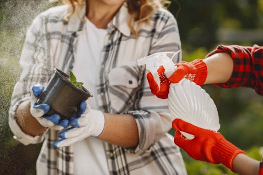 Novice gardener tips